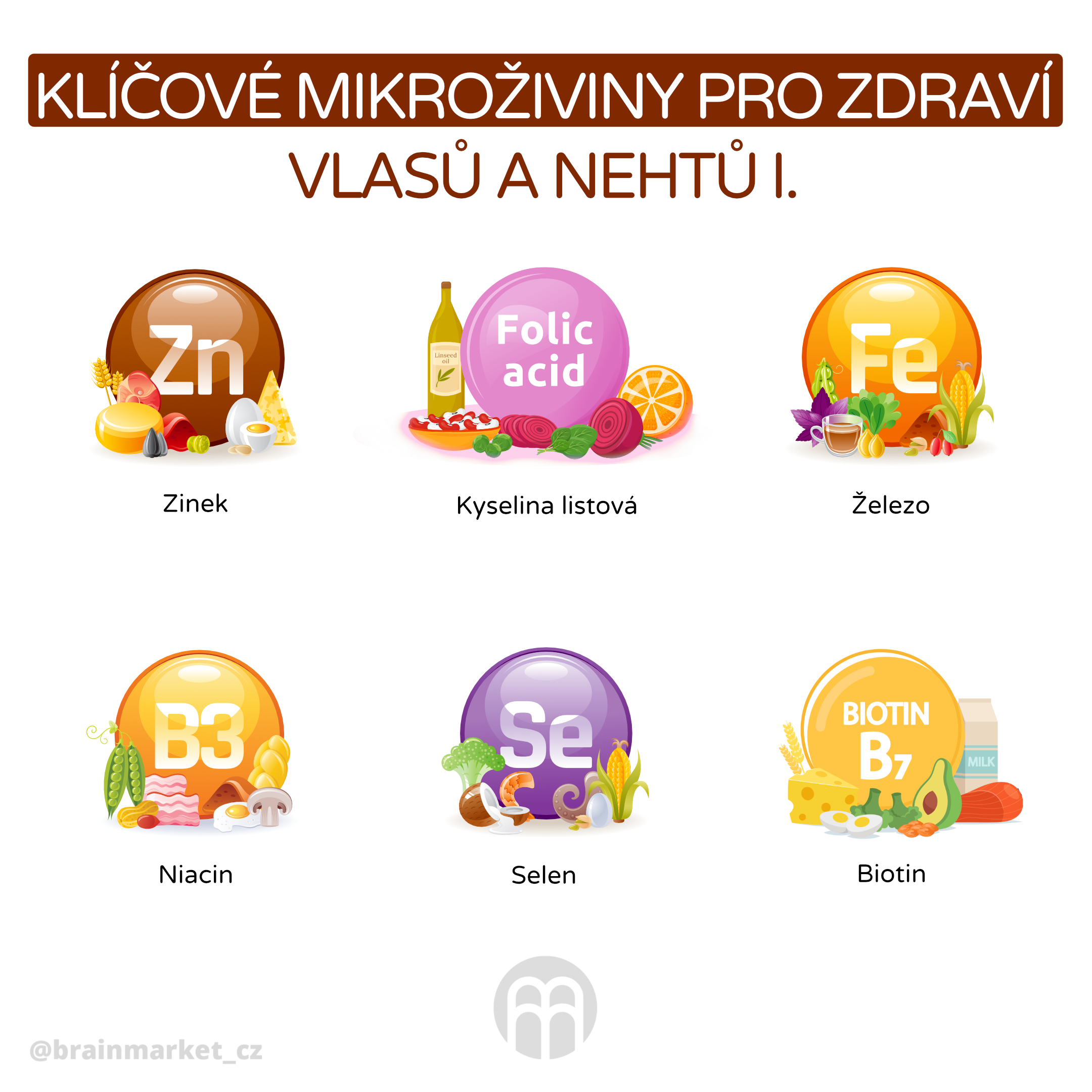 klicove ziviny pro vlasy I_infografika_cz